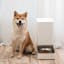 Xiaomi Smart Pet Food Feeder